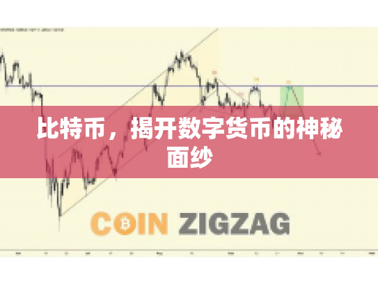 比特币,揭开数字货币的神秘面纱 比特币,揭开数字货币的神秘面纱