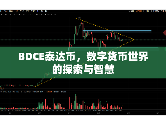 BDCE泰达币,数字货币世界的探索与智慧 BDCE泰达币,数字货币世界的探索与智慧