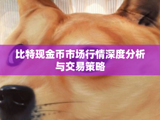 比特现金币市场行情深度分析与交易策略 比特现金币市场行情深度分析与交易策略