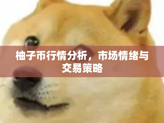 柚子币行情分析,市场情绪与交易策略 柚子币行情分析,市场情绪与交易策略