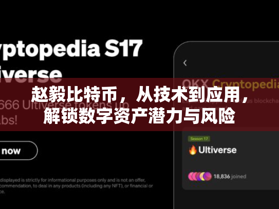 赵毅比特币,从技术到应用,解锁数字资产潜力与风险 赵毅比特币,从技术到应用,解锁数字资产潜力与风险