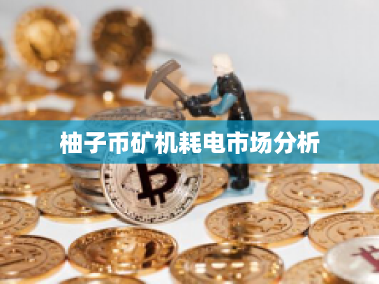 柚子币矿机耗电市场分析