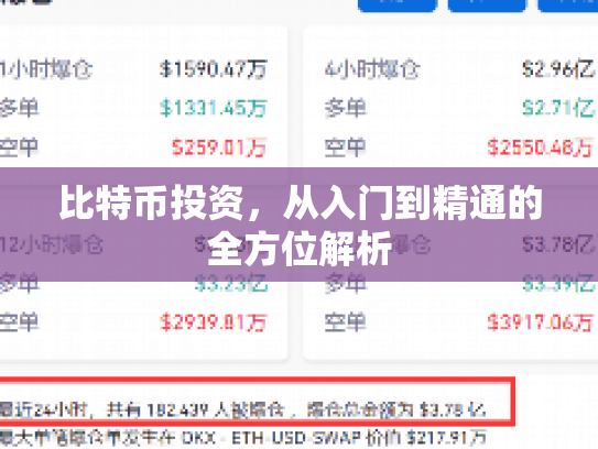 比特币投资,从入门到精通的全方位解析 比特币投资,从入门到精通的全方位解析
