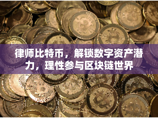 律师比特币,解锁数字资产潜力,理性参与区块链世界 律师比特币,解锁数字资产潜力,理性参与区块链世界