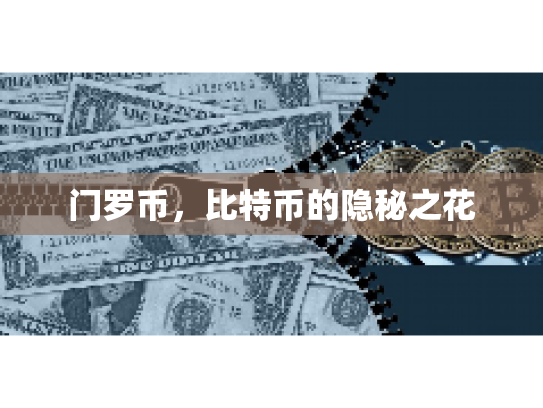 门罗币,比特币的隐秘之花 门罗币,比特币的隐秘之花