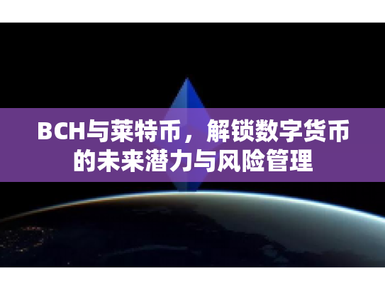 BCH与莱特币，解锁数字货币的未来潜力与风险管理