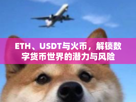 ETH、USDT与火币，解锁数字货币世界的潜力与风险