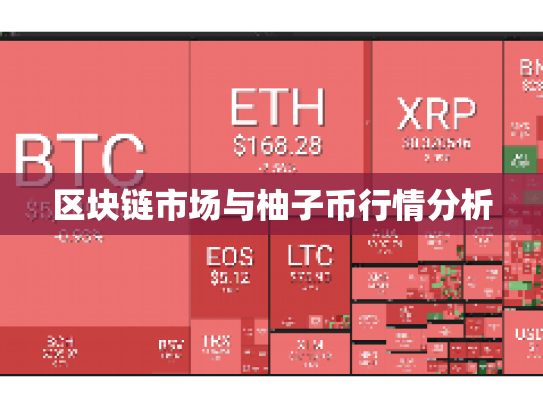 区块链市场与柚子币行情分析
