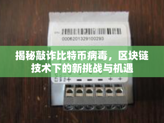揭秘敲诈比特币病毒,区块链技术下的新挑战与机遇 揭秘敲诈比特币病毒,区块链技术下的新挑战与机遇
