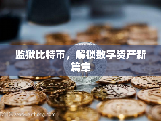 监狱比特币,解锁数字资产新篇章 监狱比特币,解锁数字资产新篇章