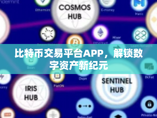 比特币交易平台APP,解锁数字资产新纪元 比特币交易平台APP,解锁数字资产新纪元