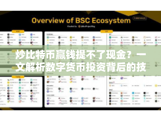 炒比特币赢钱提不了现金?一文解析数字货币投资背后的技术、风险与策略 炒比特币赢钱提不了现金?一文解析数字货币投资背后的技术、风险与策略