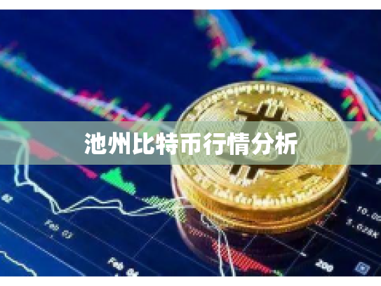 池州比特币行情分析