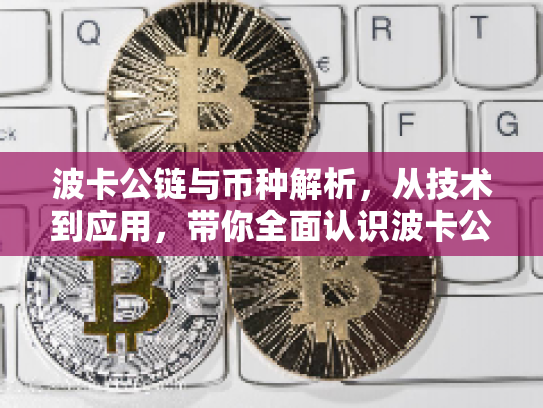 波卡公链与币种解析,从技术到应用,带你全面认识波卡公链的币种生态 波卡公链与币种解析,从技术到应用,带你全面认识波卡公链的币种生态