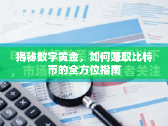 揭秘数字黄金，如何赚取比特币的全方位指南