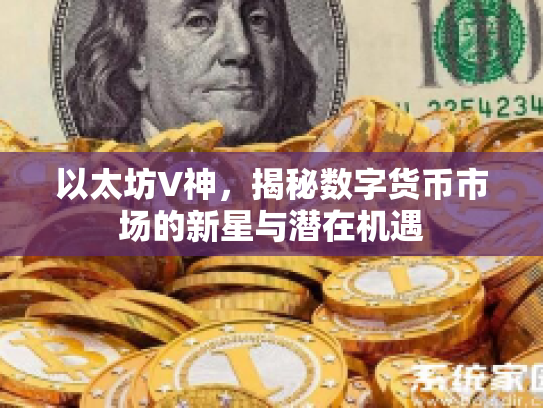 以太坊V神，揭秘数字货币市场的新星与潜在机遇