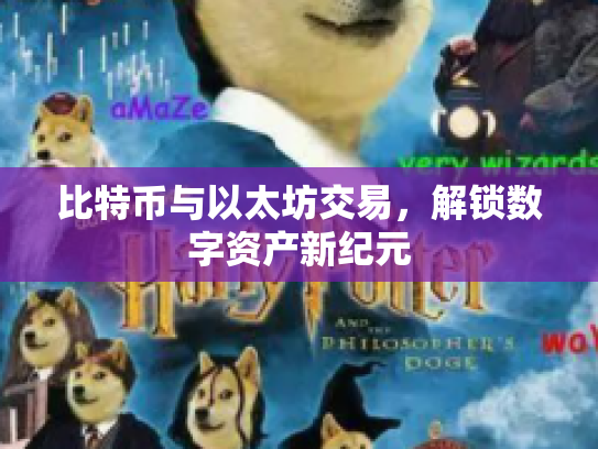 比特币与以太坊交易，解锁数字资产新纪元
