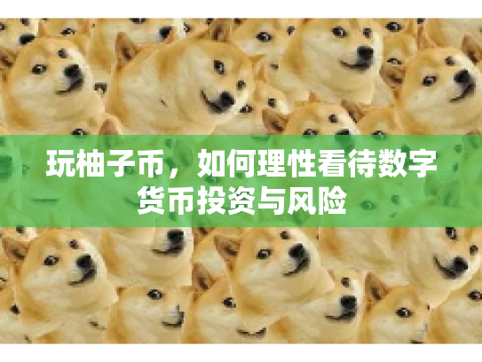 玩柚子币,如何理性看待数字货币投资与风险 玩柚子币,如何理性看待数字货币投资与风险