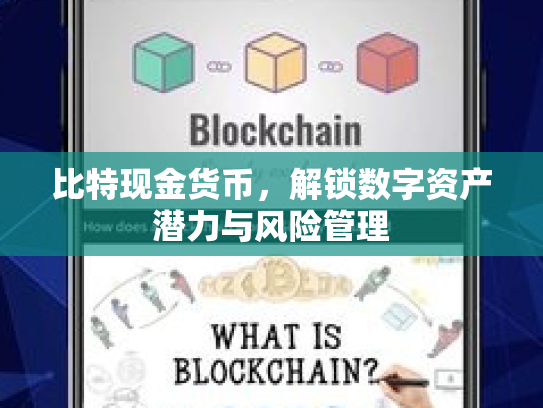 比特现金货币,解锁数字资产潜力与风险管理 比特现金货币,解锁数字资产潜力与风险管理