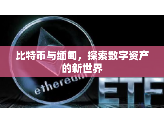 比特币与缅甸,探索数字资产的新世界 比特币与缅甸,探索数字资产的新世界