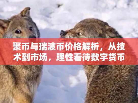 聚币与瑞波币价格解析,从技术到市场,理性看待数字货币投资 聚币与瑞波币价格解析,从技术到市场,理性看待数字货币投资