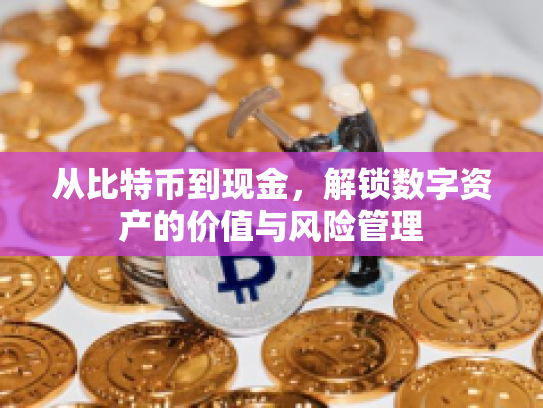 从比特币到现金，解锁数字资产的价值与风险管理