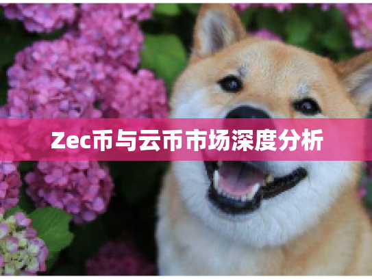Zec币与云币市场深度分析
