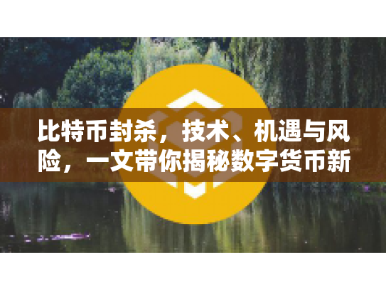 比特币封杀，技术、机遇与风险，一文带你揭秘数字货币新篇章