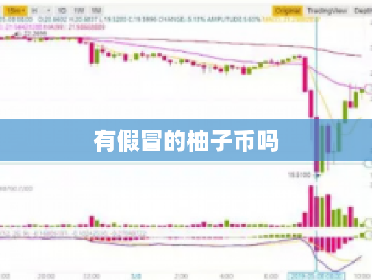 有假冒的柚子币吗
