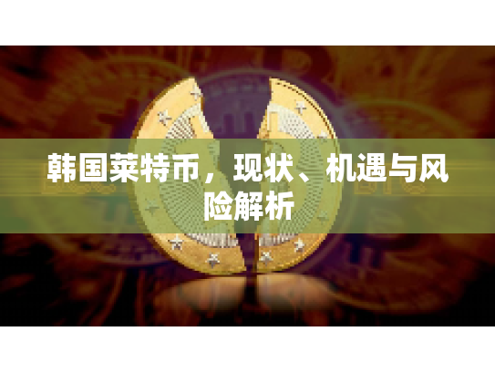 韩国莱特币,现状、机遇与风险解析 韩国莱特币,现状、机遇与风险解析