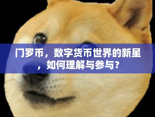 门罗币，数字货币世界的新星，如何理解与参与？