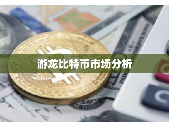 游龙比特币市场分析 游龙比特币市场分析