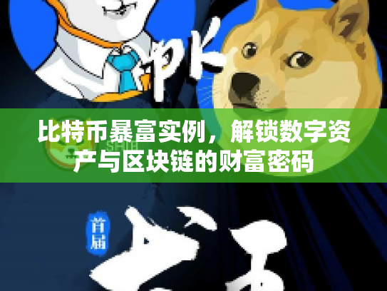 比特币暴富实例,解锁数字资产与区块链的财富密码 比特币暴富实例,解锁数字资产与区块链的财富密码