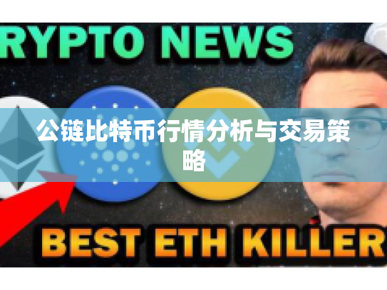 公链比特币行情分析与交易策略
