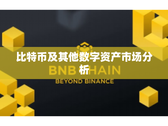 比特币及其他数字资产市场分析 比特币及其他数字资产市场分析