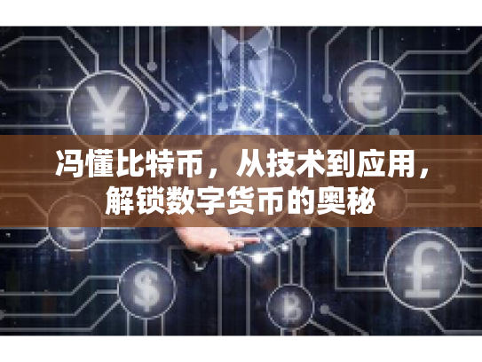 冯懂比特币,从技术到应用,解锁数字货币的奥秘 冯懂比特币,从技术到应用,解锁数字货币的奥秘