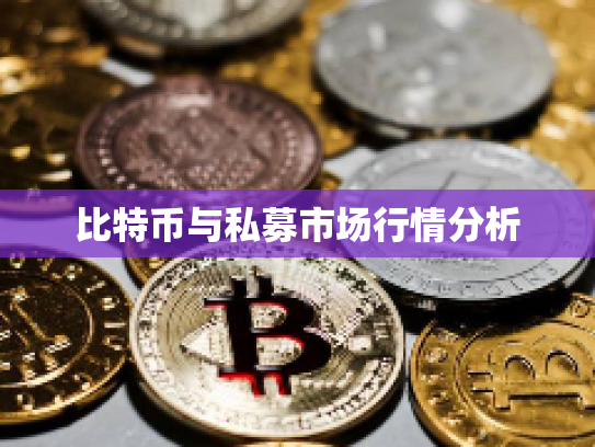 比特币与私募市场行情分析 比特币与私募市场行情分析