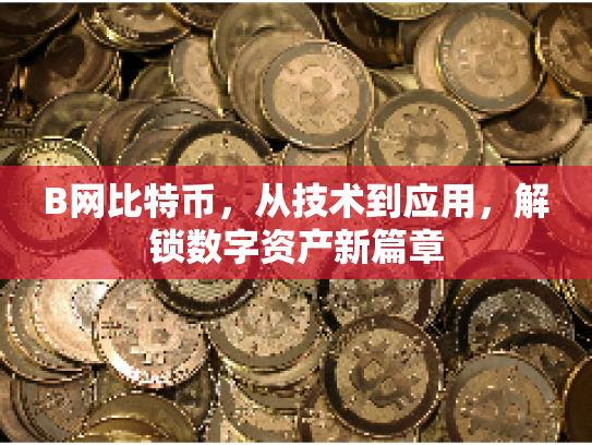 B网比特币,从技术到应用,解锁数字资产新篇章 B网比特币,从技术到应用,解锁数字资产新篇章