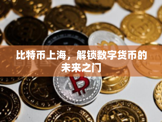 比特币上海,解锁数字货币的未来之门 比特币上海,解锁数字货币的未来之门