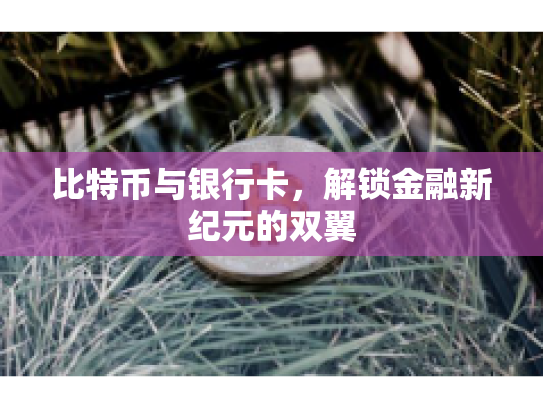 比特币与银行卡,解锁金融新纪元的双翼 比特币与银行卡,解锁金融新纪元的双翼
