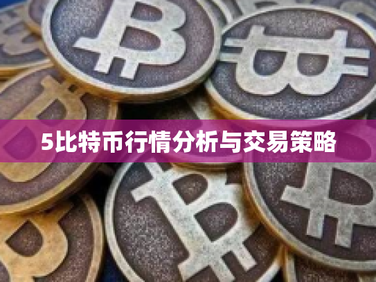 5比特币行情分析与交易策略