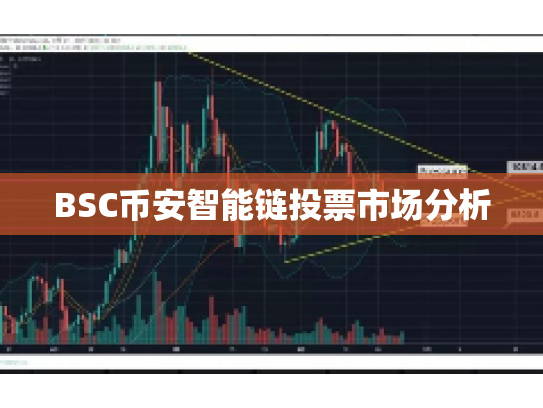 BSC币安智能链投票市场分析