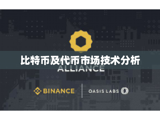 比特币及代币市场技术分析 比特币及代币市场技术分析