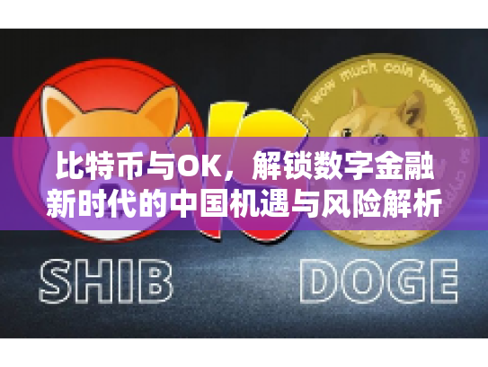 比特币与OK,解锁数字金融新时代的中国机遇与风险解析 比特币与OK,解锁数字金融新时代的中国机遇与风险解析