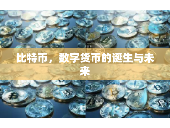 比特币,数字货币的诞生与未来 比特币,数字货币的诞生与未来