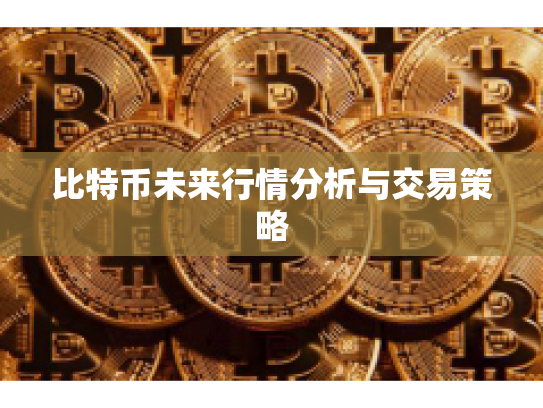 比特币未来行情分析与交易策略 比特币未来行情分析与交易策略