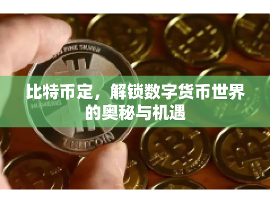 比特币定，解锁数字货币世界的奥秘与机遇