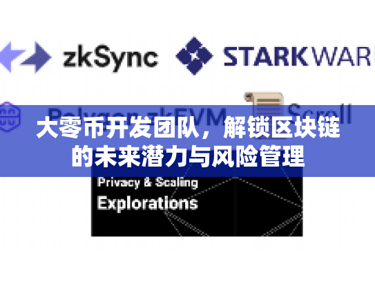 大零币开发团队,解锁区块链的未来潜力与风险管理 大零币开发团队,解锁区块链的未来潜力与风险管理
