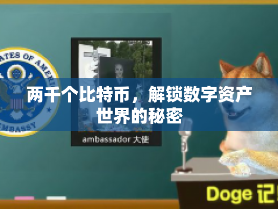 两千个比特币,解锁数字资产世界的秘密 两千个比特币,解锁数字资产世界的秘密