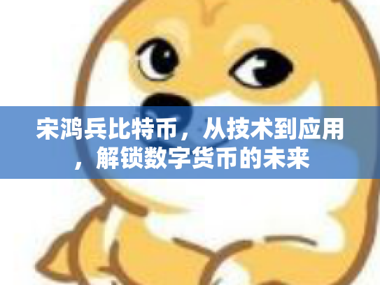 宋鸿兵比特币,从技术到应用,解锁数字货币的未来 宋鸿兵比特币,从技术到应用,解锁数字货币的未来